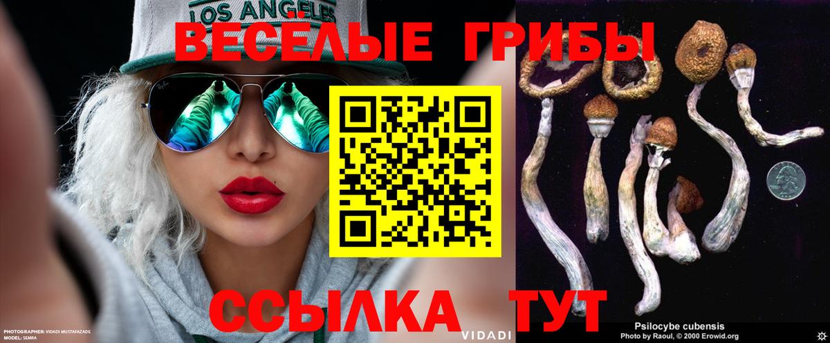 Галлюциногенные грибы MAGIC MUSHROOMS Дербент