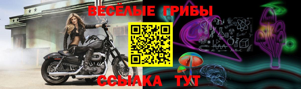 Дербент  Псилоцибиновые грибы MAGIC MUSHROOMS  Вход с VPN  Псилоцибиновые грибы MAGIC MUSHROOMS 